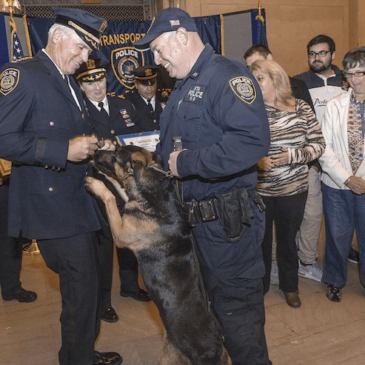 DOGGY SLAYCARE: COPS CLAIM K-9S TO BE KILLED IF POLICE REFORM PASSES