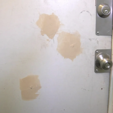 Woman says Boston Police shot through closed apartment door into son’s bedroom: “I thought I was going to die”